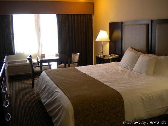 מאונטיין וויו Hotel Vue חדר תמונה